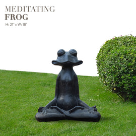 Meditating Frog